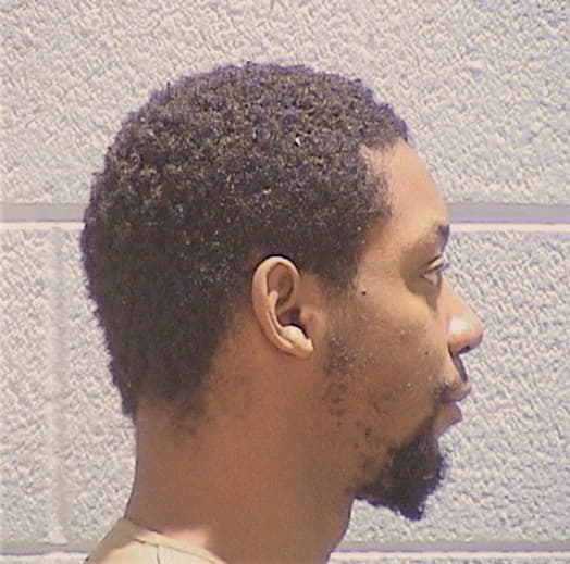 BUTLER, DEJONTI, Kane County  IL
