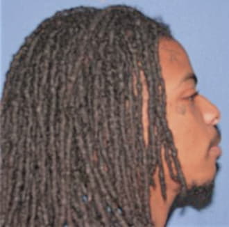 MITCHELL, ALEXANDER, Cook County  IL