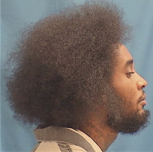 HANKTON, CLARENCE, Cook County  IL