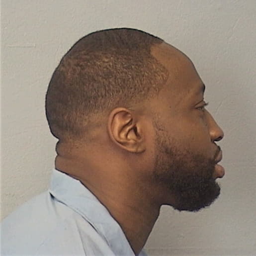 BROWN, AMITTIE, Lake County  IL