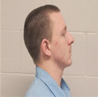 MORRISON, AUSTIN, Sangamon County  IL