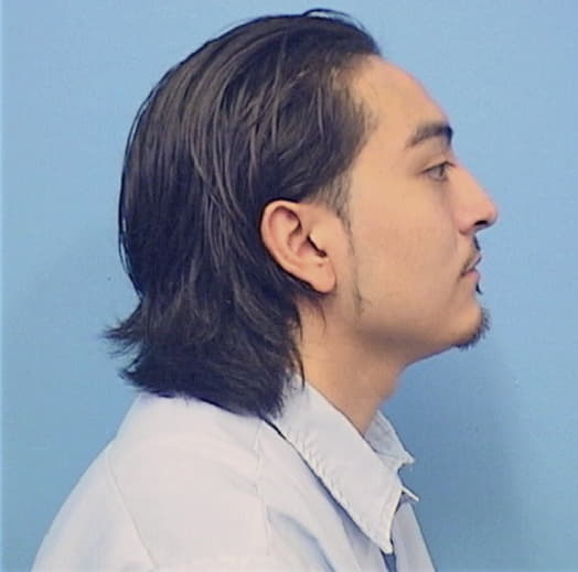 CHAVEZ, JORGE, Kane County  IL