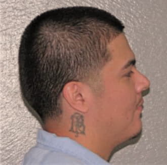 FLORES, KEVIN, Cook County  IL