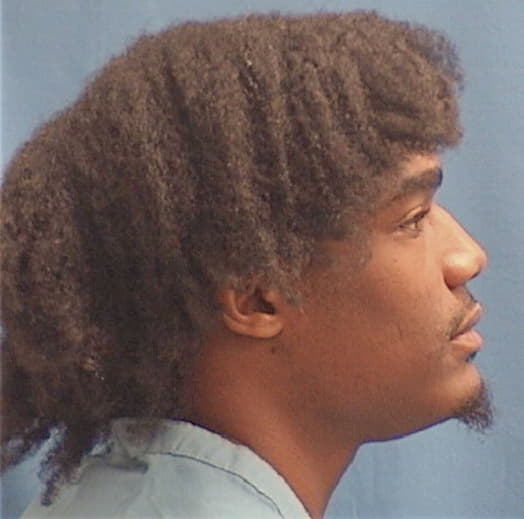 WILLIAMS, ARIES, Cook County  IL