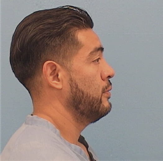 SALINAS, ROBERTO, Livingston County  IL