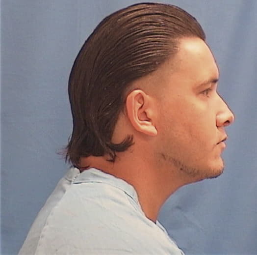 ANDUJAR RAMOS, WILBERT, Champaign County  IL