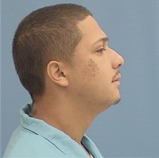 FALCON, DANIEL A., Kane County  IL