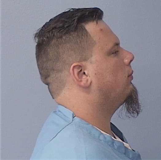 PALMER, ROBERT D., Livingston County  IL