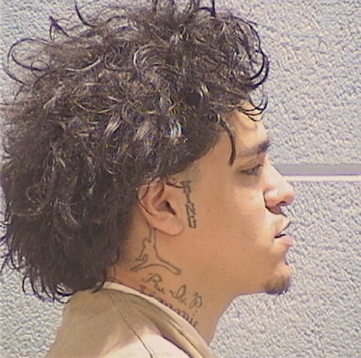 PONS, GIANCARLO, Cook County  IL