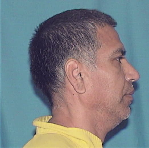 DOMINGUEZ, GEORGE, Cook County  IL