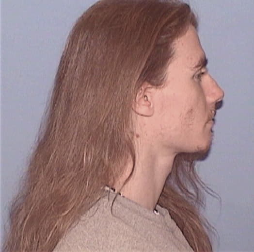 ZIEBARTH, JOSHUA, Will County  IL
