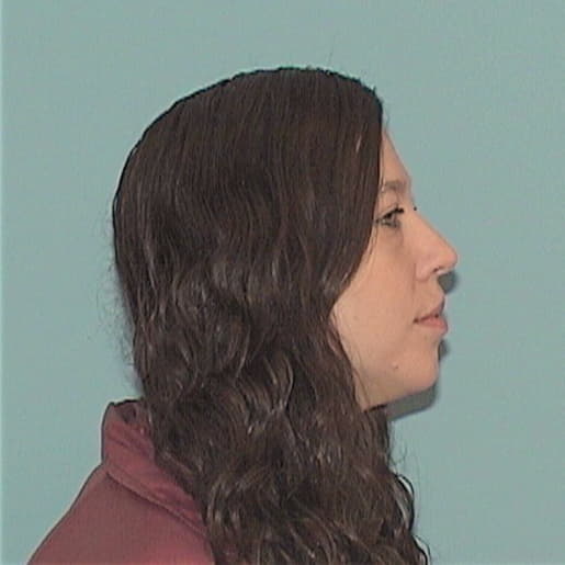 SHEMBERGER, AMY A., Will County  IL