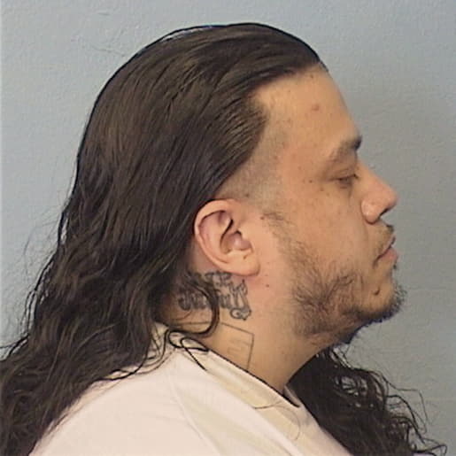 CACERES, NELSON, Kane County  IL