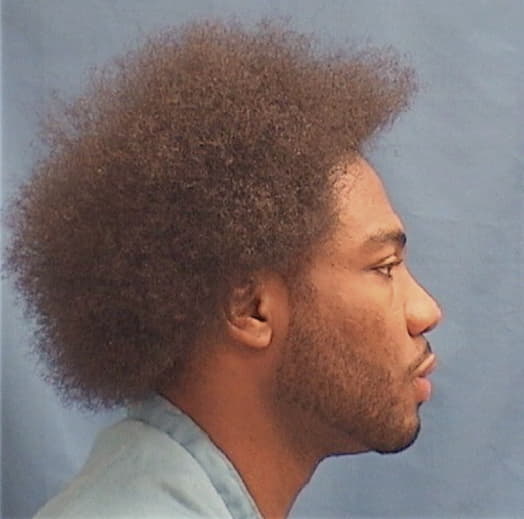 CHANDLER-MARTIN, REGINALD, Will County  IL
