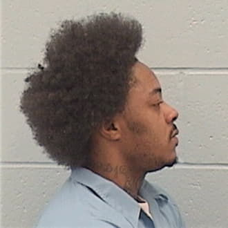 WILLIAMSON, BRANDON, Cook County  IL