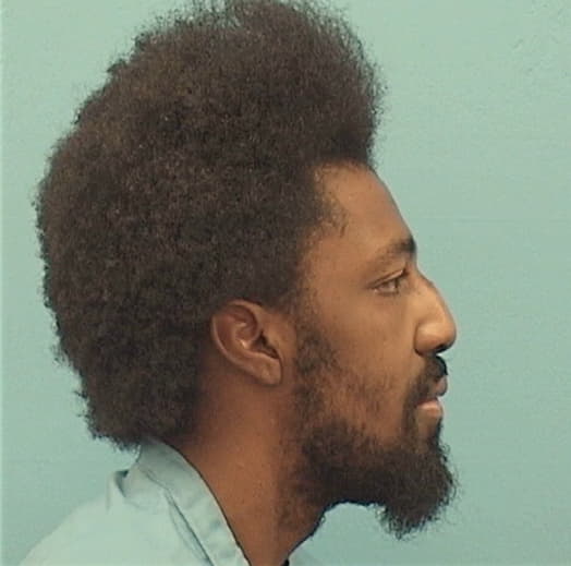 KING, CORTEZ, Kane County  IL