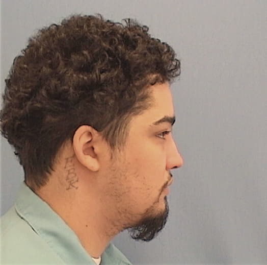 BROWN, AUBREY D., Stephenson County  IL