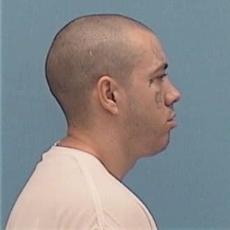 LANE, MATTHEW D., Vermilion County  IL