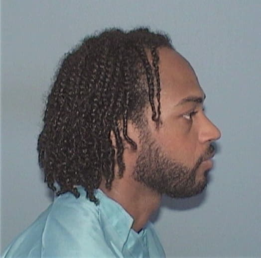 JAMES, RAUNCHINO, Will County  IL