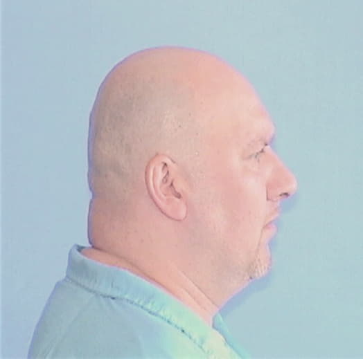 BRISCOLINO, ARTHUR J., Cook County  IL
