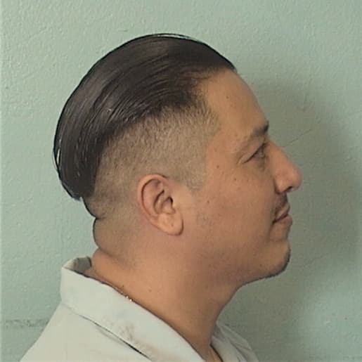 HERNANDEZ, JONATHON, Cook County  IL