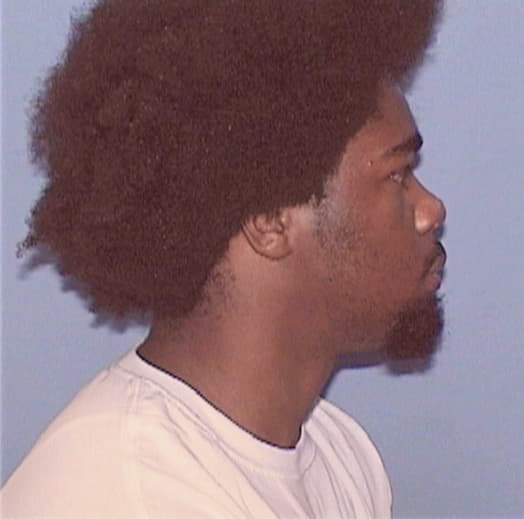 JAMERSON, ANTHONY R., Lee County  IL