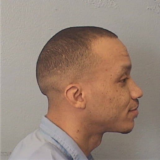 MINNIFIELD, MICHAEL, Cook County  IL