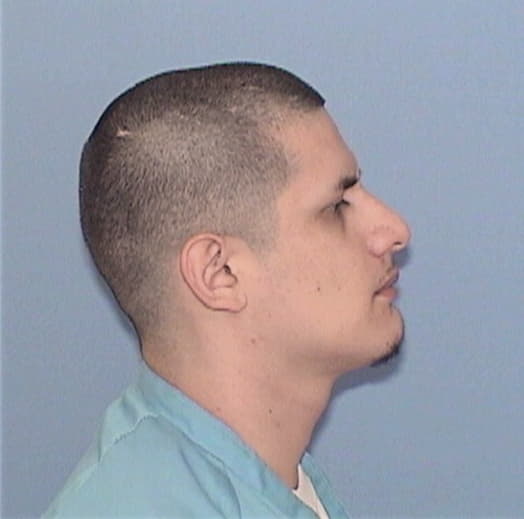 CHAVEZ, CESAR JR, Will County  IL