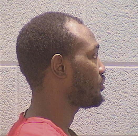 ELEM, MICHAEL, Cook County  IL
