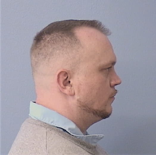 GOODWIN, DAVID, McLean County  IL