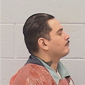 GONZALEZ, JOEL, Cook County  IL