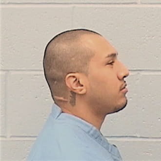 RODRIGUEZ, DAVID, Cook County  IL