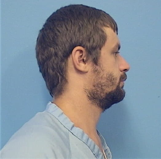 MCNEAL, ANDREW R., Madison County  IL