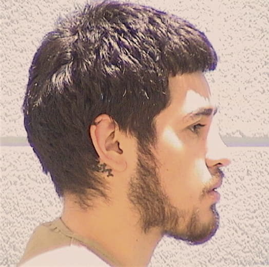 CABRIALES, ALAN Q., Cook County  IL
