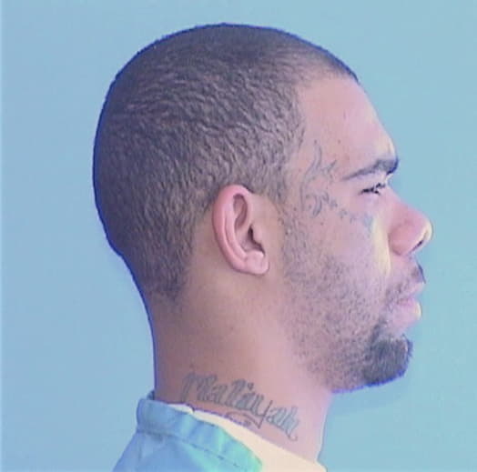 SARGENT, KAILEONE N., Sangamon County  IL