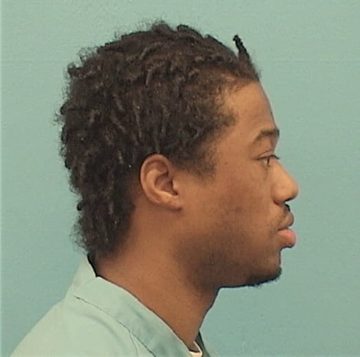 JOHNSON, WALTER, Cook County  IL