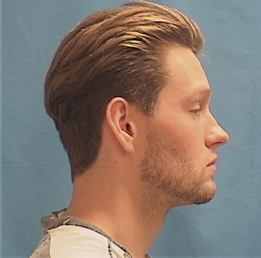 SCHWARK, TROY W., Tazewell County  IL