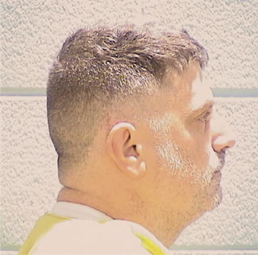 MINELLA, DEAN F., Cook County  IL