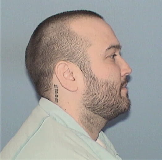 AUST, PETER E., Dupage County  IL