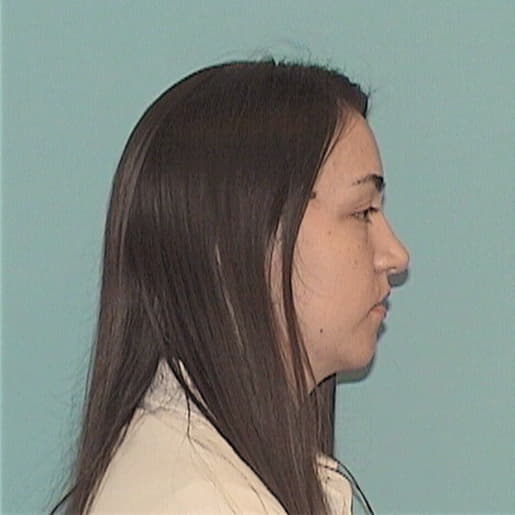 RICE, BRITTANY, McHenry County  IL