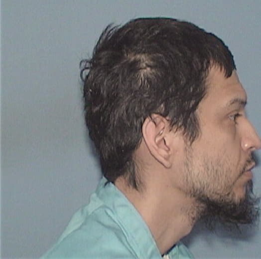 SILVA, MARIO, Kane County  IL