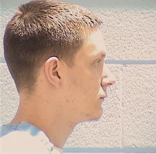 HEWITT, MICHAEL J., Bureau County  IL