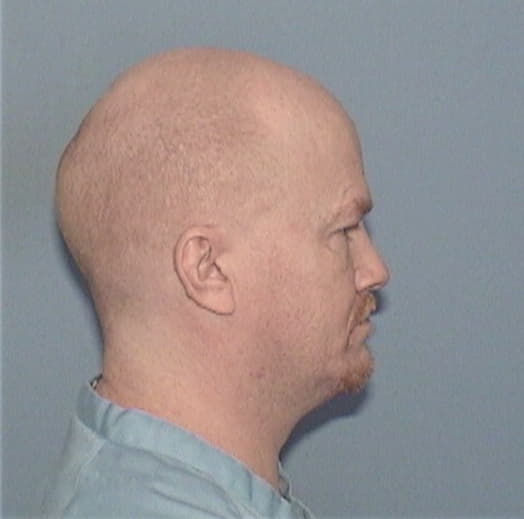 WILLIAMS, SHAWN A., Vermilion County  IL