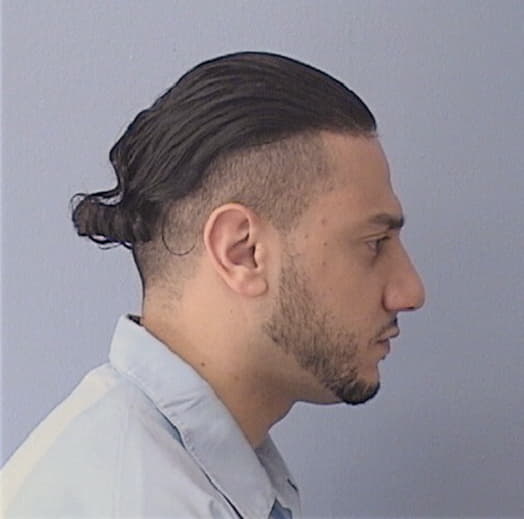 FATHI, AHMED, Cook County  IL