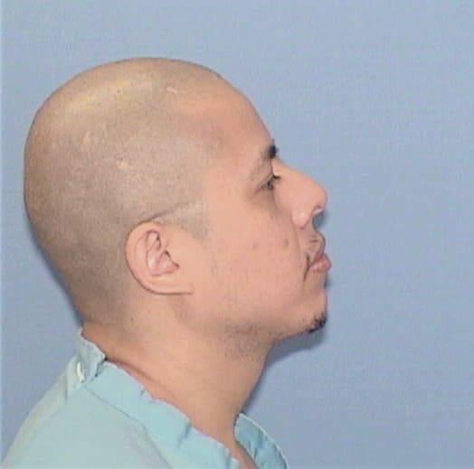 ALCARAZ, MIGUEL, Cook County  IL