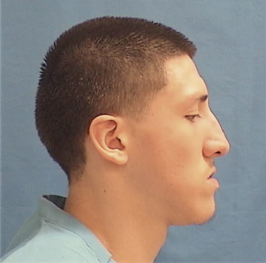 DELUNA, ANTHONY, Cook County  IL