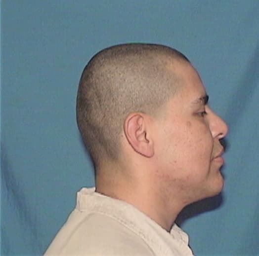 GONZALEZ, ALEJANDRO H., Dupage County  IL