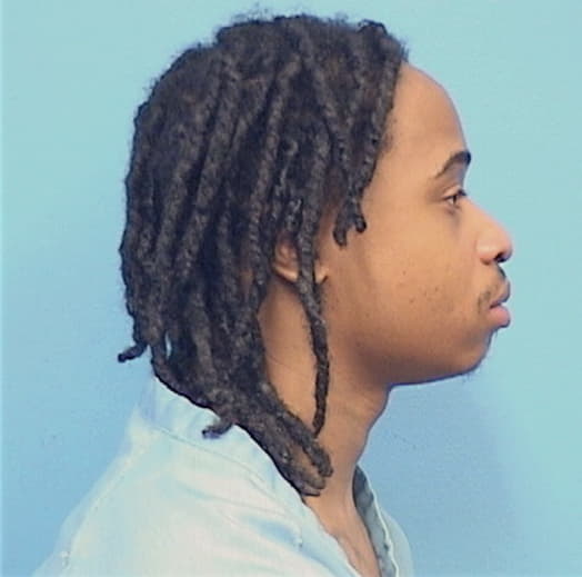 NICHOLS PELMORE, JAYVON T., Champaign County  IL