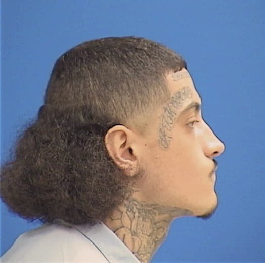 GONZALEZ, JUSTIN, Cook County  IL