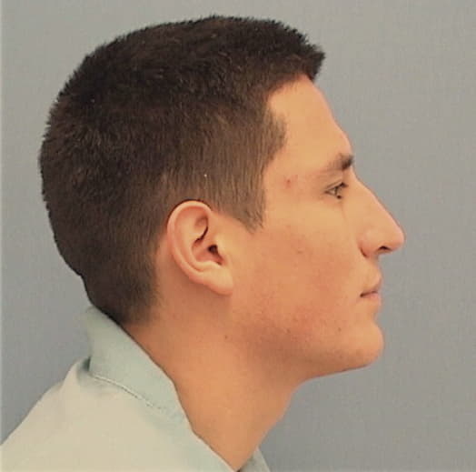 LUZURIAGA, TEOFILO Y., DuPage County  IL